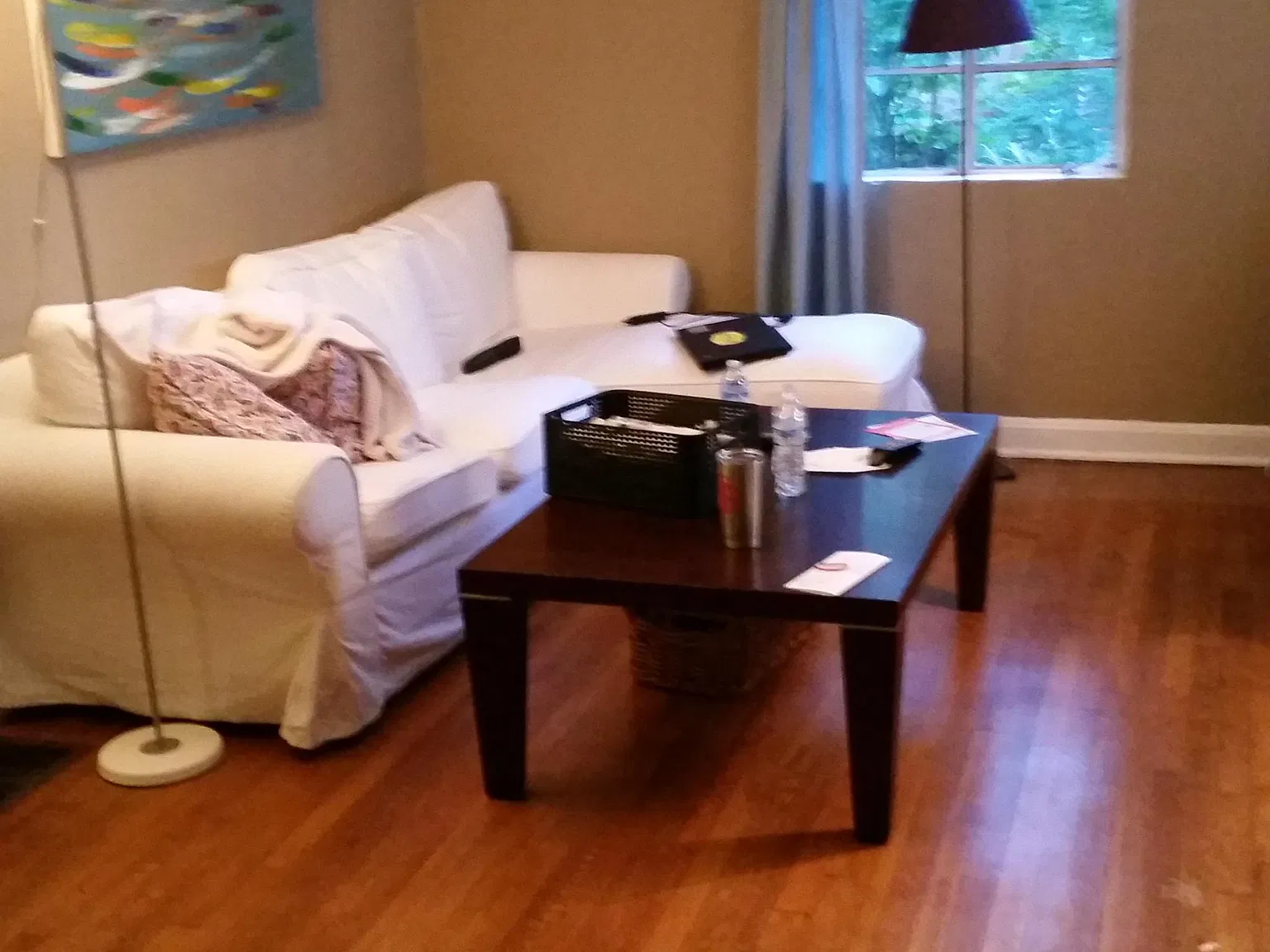1 bed, 750 sqft, $1,250 — Photo 3