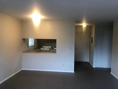 4714 22nd Ave NE #1 Photo 1