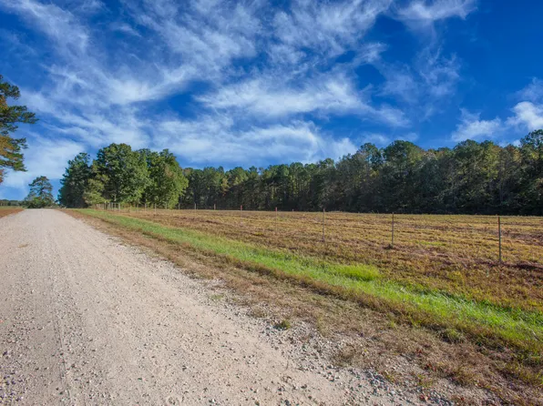 251 Red Wells Rd #2, Spring Hope, NC 27882