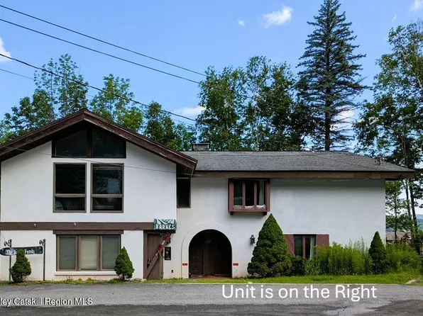 97 Clarence D Lane Road #D, Windham, NY 12496