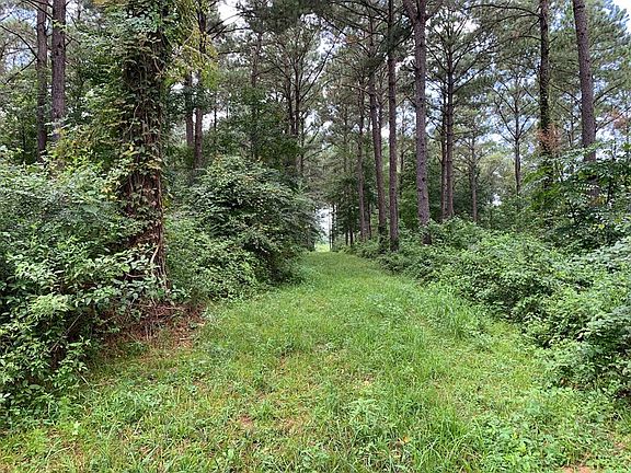 4th image of LOT 1 Highway 51 N