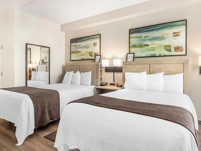 Studio Suite - 2 Queen Beds