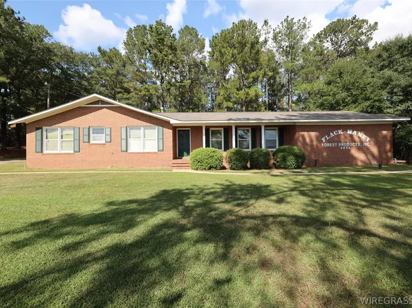 2656 Hickman Ave, Elba, AL 36323