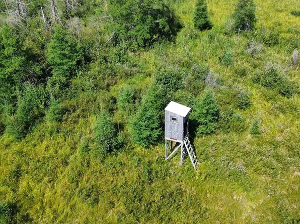 18297 County Road 9, Sebeka, MN 56477