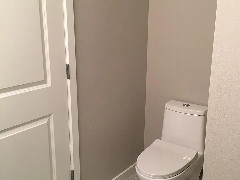 master bath - new toilet