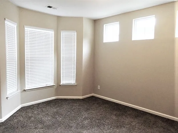 245 Old Savannah Dr — Photo 9