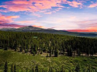 2715 County Road 14a, Alma, CO 80420