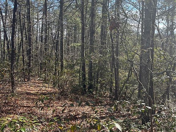 5th image of LOT 99 Nightshade Road