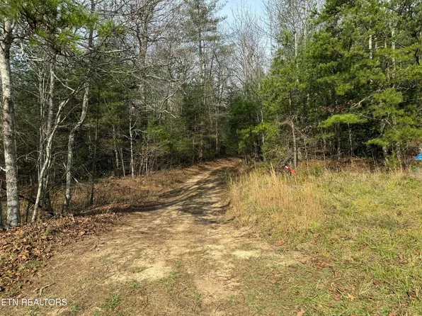 Coon Hollow Rd #132&134, Sunbright, TN 37872