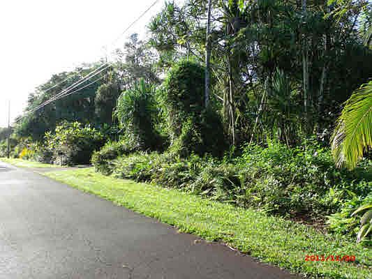 2nd image of 15-2780 S Oopu St Lot 1533
