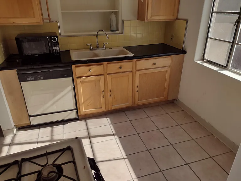Kitchen microwave and new sink