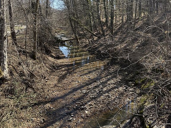 5th image of 9208 Hester Beasley Rd