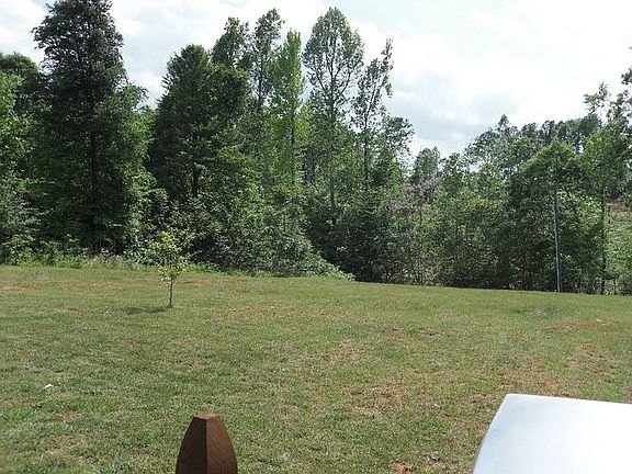 View from Back Porch