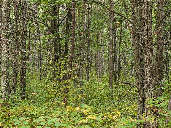 2nd image of LOT Sandbar Ln #D