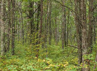 LOT Sandberg Dr #B, Merrifield, MN 56465