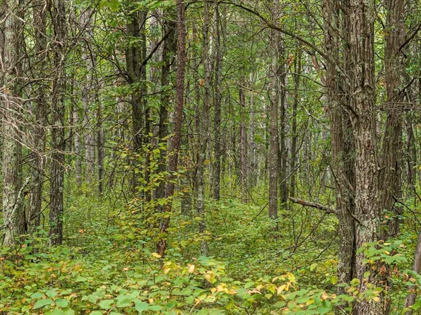 LOT Sandbar Ln #B, Merrifield, MN 56465