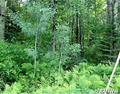 2nd image of 0 W Reiskes Road