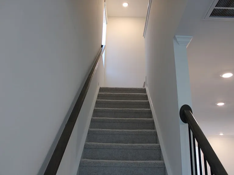 3601 Elm Grove Ln — Photo 24