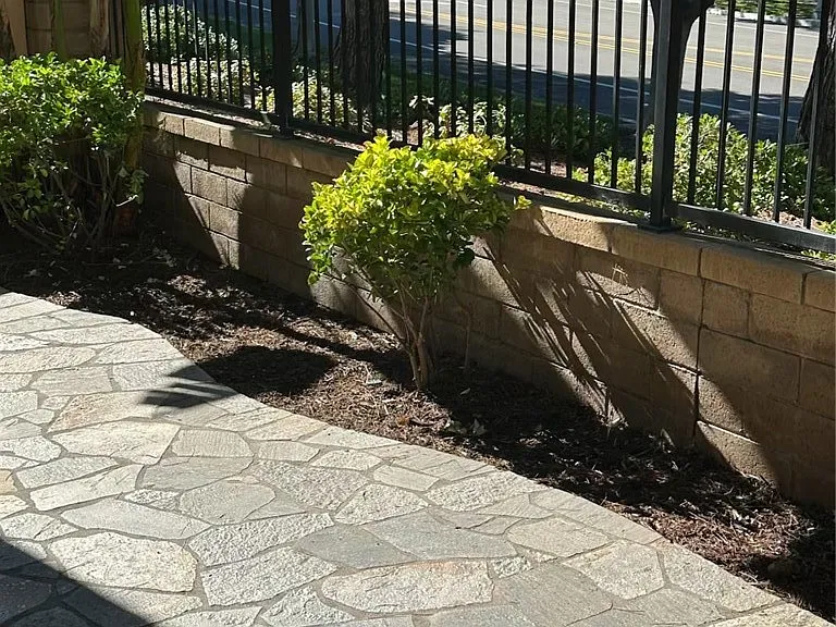 11 Tall Oak — Photo 11