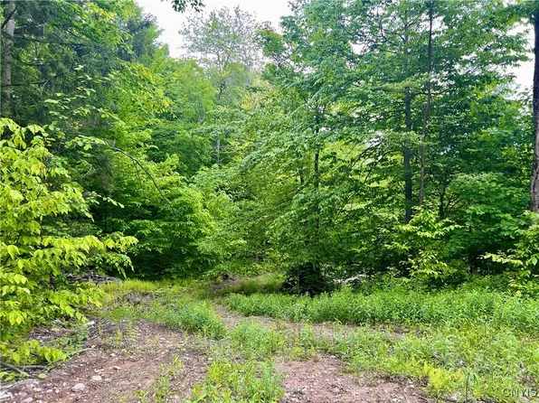 N Hillsborough Rd #12, Camden, NY 13316