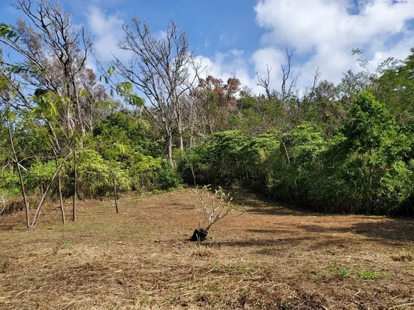 LOT Forteen #A, Captain Cook, HI 96704
