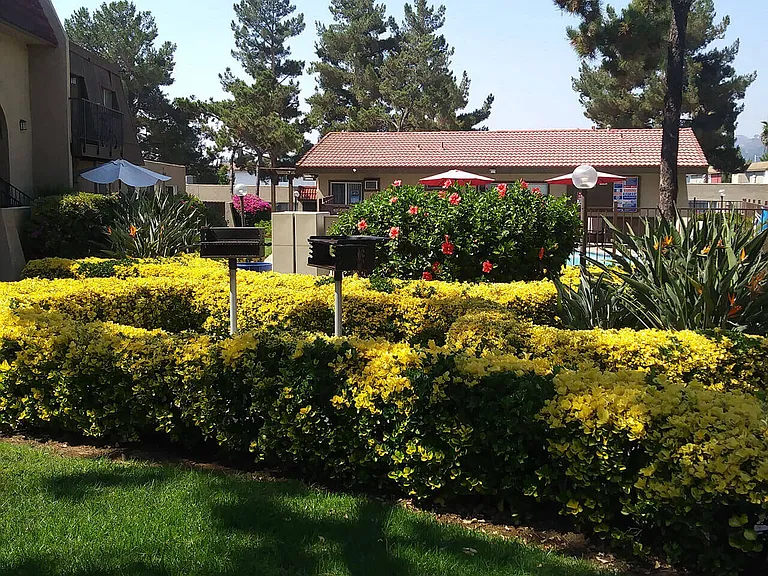 Barbeques and swimming pool surounded by beautiful gardens at Teton Pine Apartments in Escondido, California.