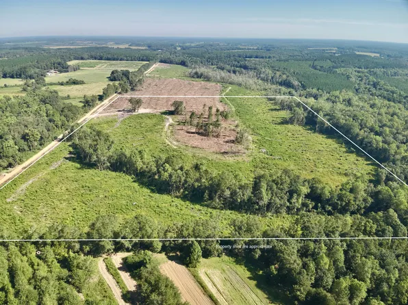 65 / Tindil Creek Rd, Slocomb, AL 36375