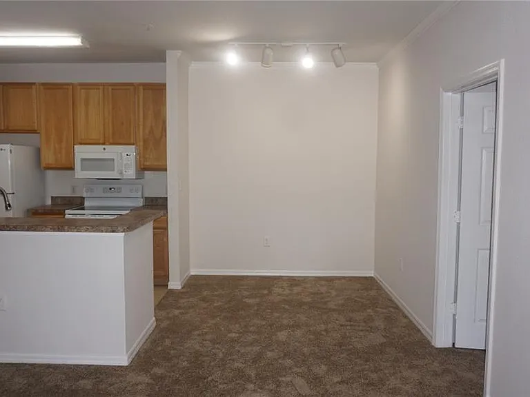 2402 Courtney Meadows Ct #101 — Photo 18