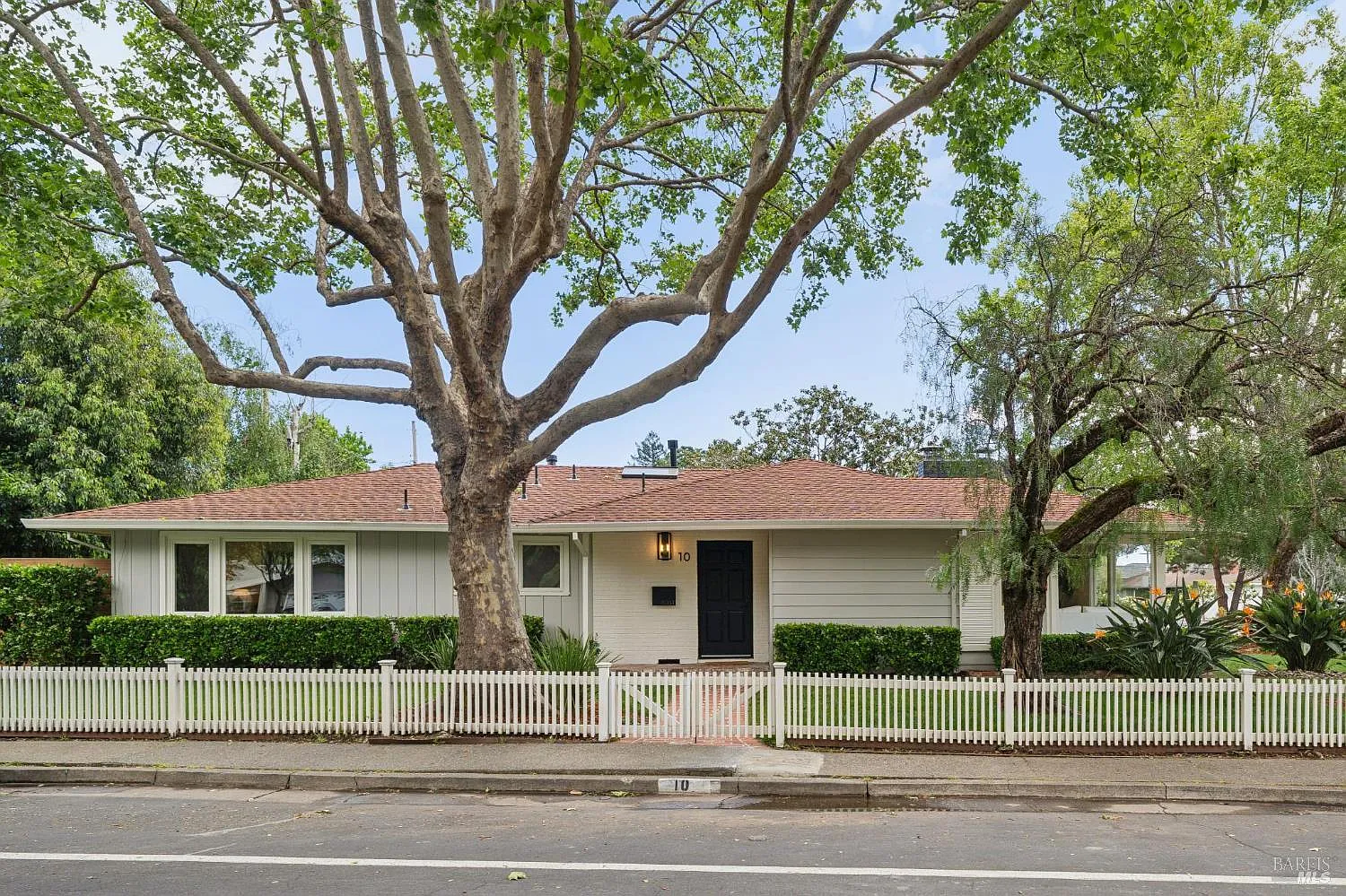 10 Eliseo Drive photo 1
