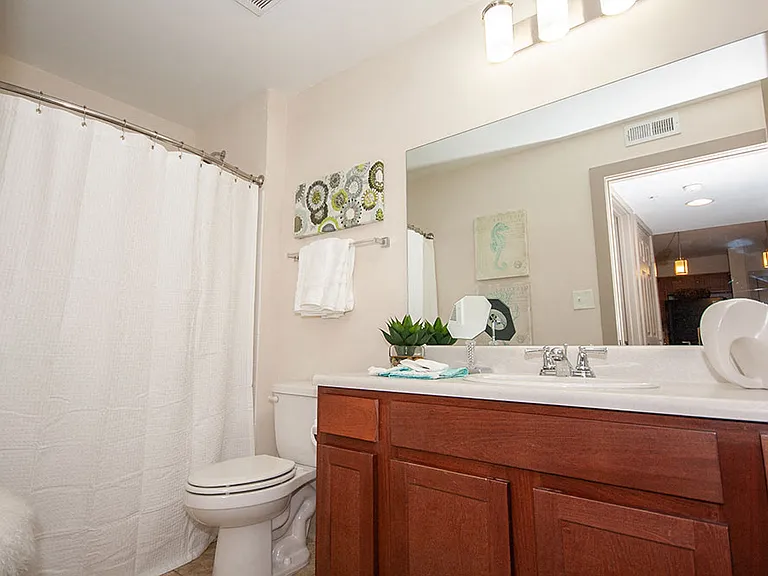 Large mirrors with large sinks
