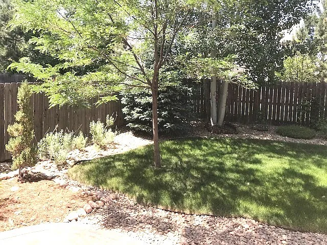 3657 Castle Peak Ave — Photo 20