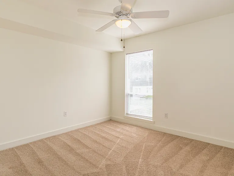 Ash Tree Apartments — Photo 8