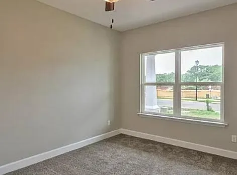 4344 Bottle Brush Ln — Photo 14