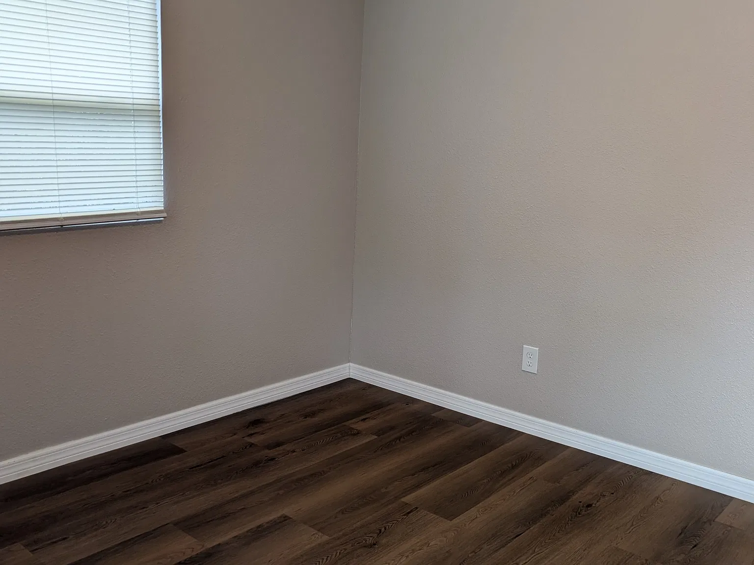 737 W Robinson St - 737 1/2 — Photo 3