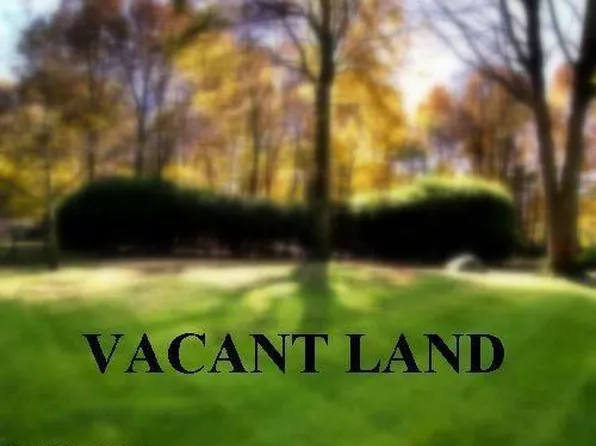 0 Haggerty Rd, Belleville, MI 48111