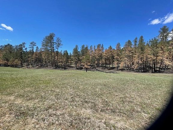 5th image of 25236 Lower French Creek Rd