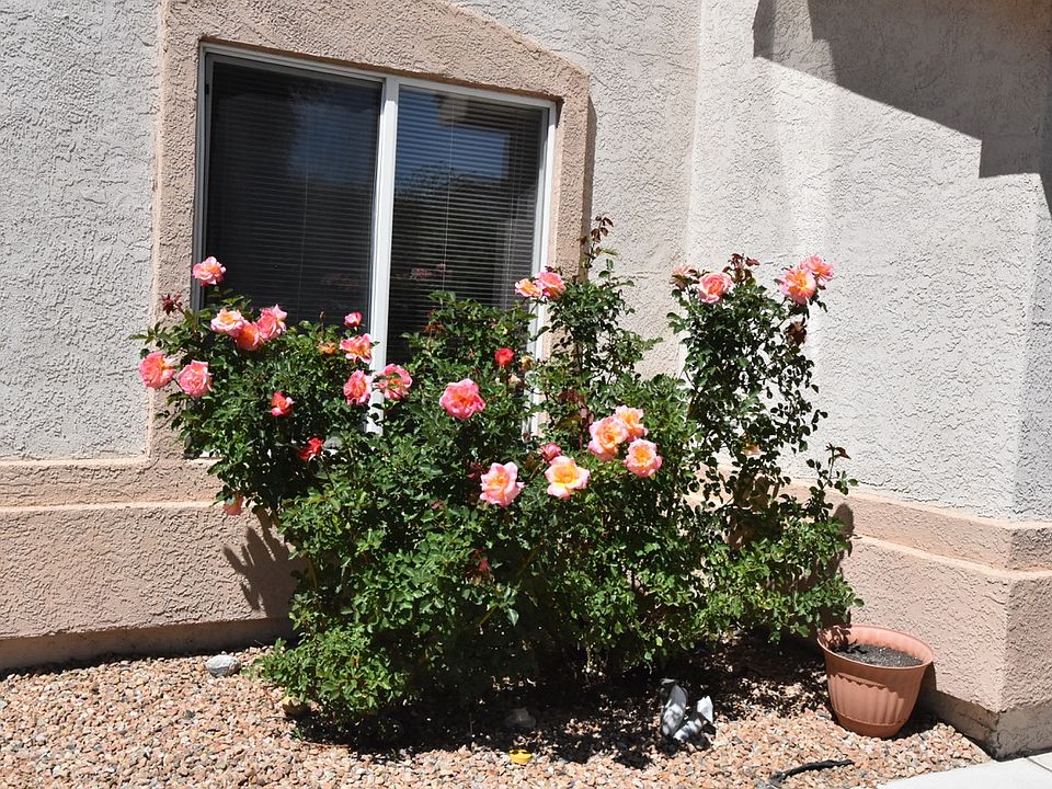 2nd image of 3101 Crimson Rose Ln SW