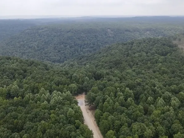 51 Mossy Rock Ln Lot 55, Monteagle, TN 37356