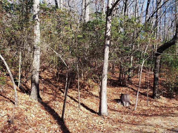 9999 Galax Ln #G-11, Brevard, NC 28712