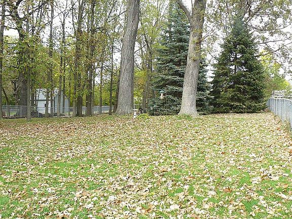 Backyard - Fully Fenced