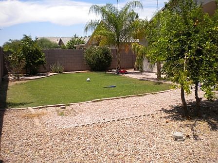 Backyard 1
