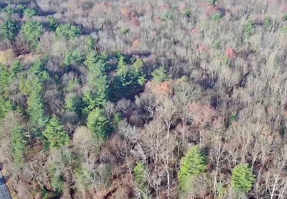 2nd image of 0 Buchanan Valley Rd