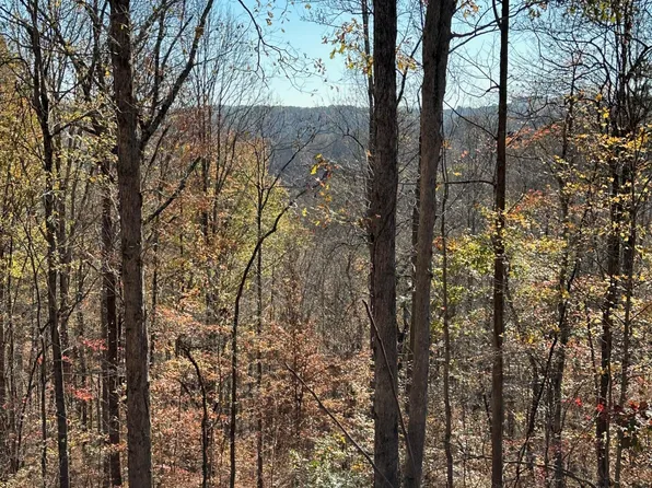 Landmark Rd, Jacksboro, TN 37757