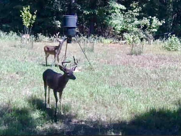County Road 4339, Bivins, TX 75555