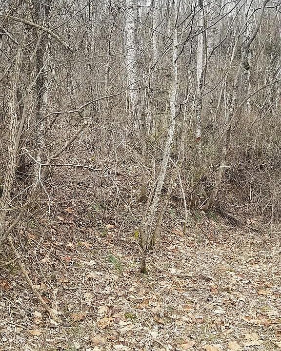 2nd image of 1705 Dark Ridge Rd Lot 4