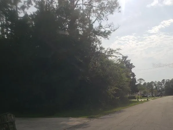 74 RANDOLPH DRIVE LOT 25, PALM COAST, FL 32164