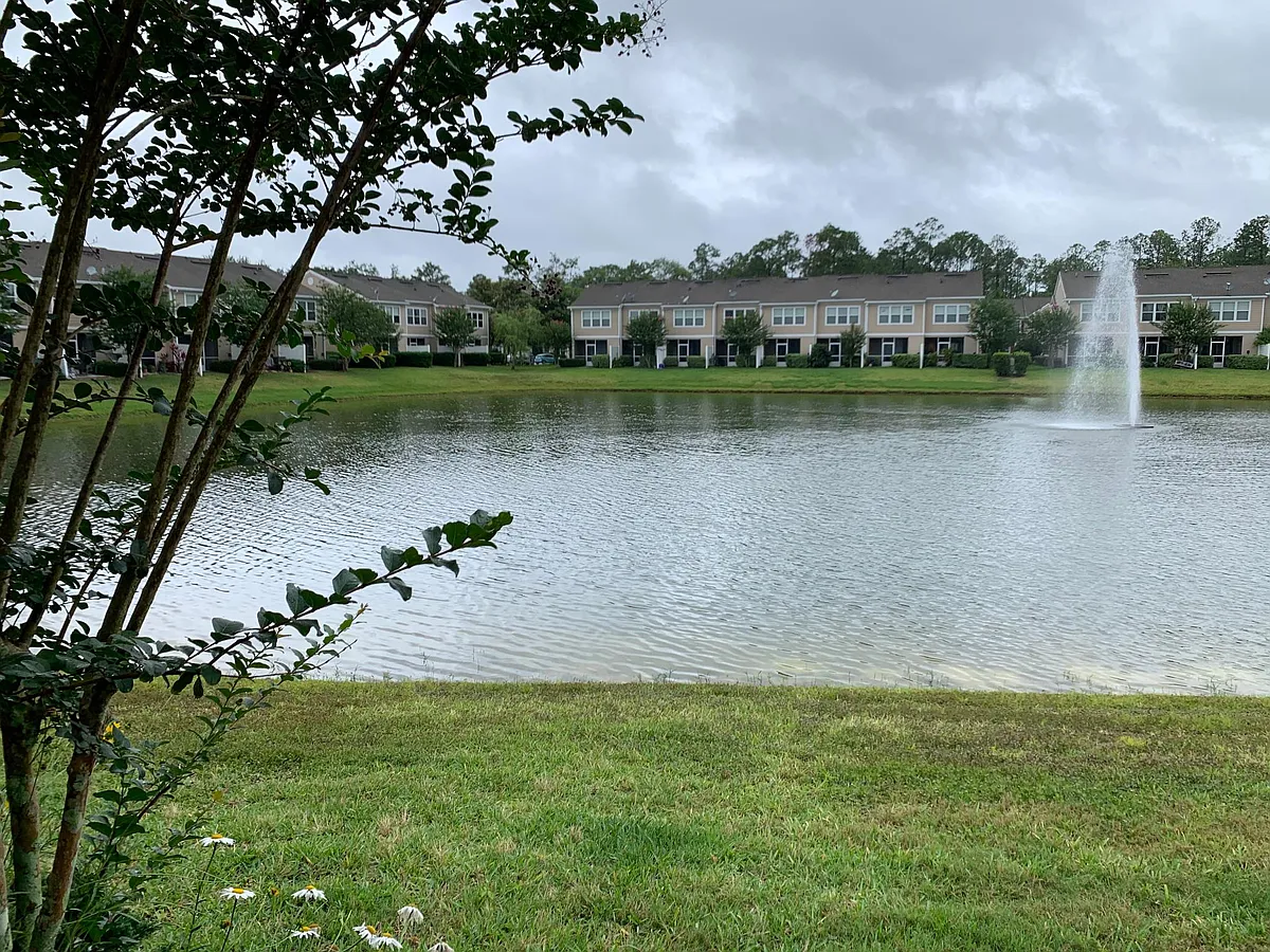 Building Photo - 6602 Arching Branch Cir