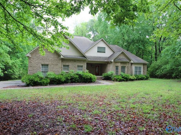 730 John Cabaniss Rd, Langston, AL 35755