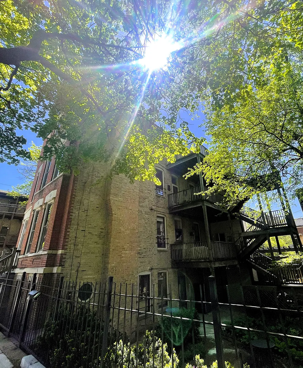 Building Photo - 849 W Willow St #3