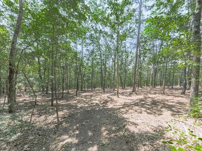 313 Mountain Top Rd #53, Waleska, GA, 30183